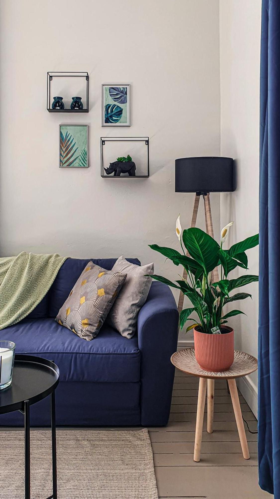 Charming Studio With View Of The Abbaye-Aux-Hommes Caen Room photo